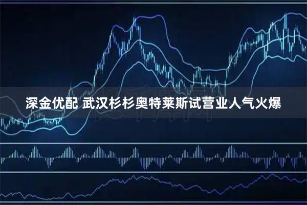 深金优配 武汉杉杉奥特莱斯试营业人气火爆