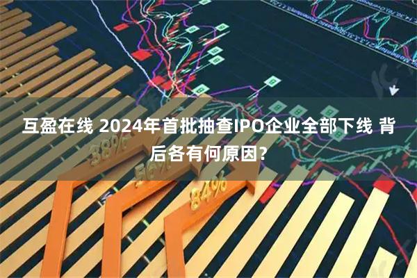 互盈在线 2024年首批抽查IPO企业全部下线 背后各有何原因？