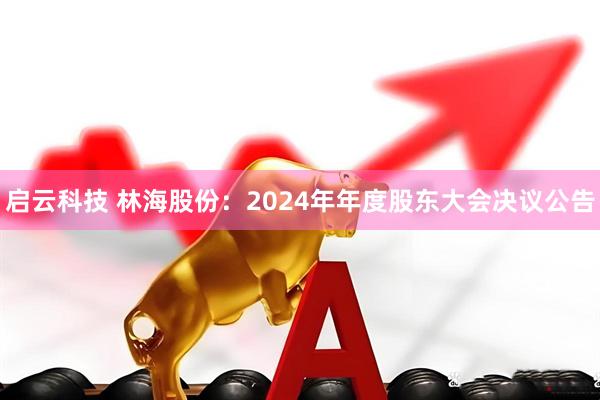 启云科技 林海股份：2024年年度股东大会决议公告