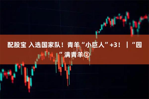 配股宝 入选国家队！青羊“小巨人”+3！｜“园”满青羊②