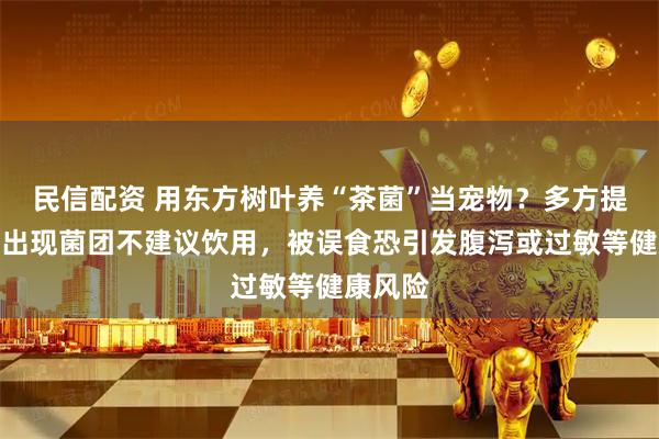 民信配资 用东方树叶养“茶菌”当宠物？多方提醒：若出现菌团不建议饮用，被误食恐引发腹泻或过敏等健康风险