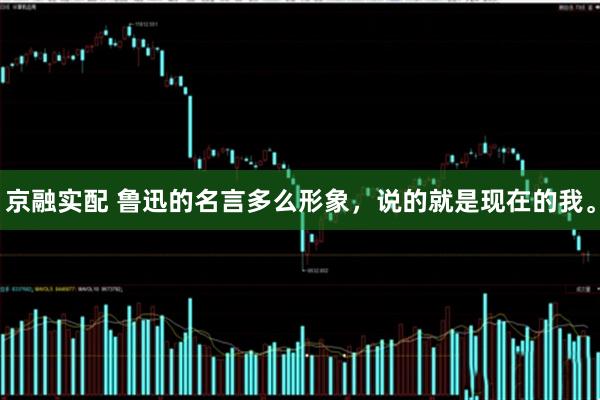 京融实配 鲁迅的名言多么形象，说的就是现在的我。